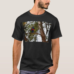 CAMISETA ARCO IRIS LORIKEET QUEENSLAND RURAL AUSTRALIA