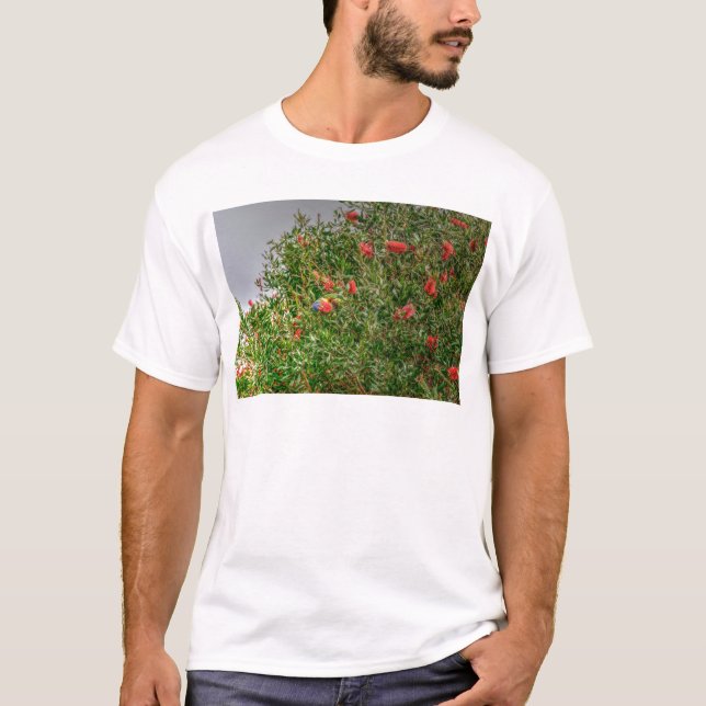 CAMISETA ARCO IRIS LORIKEET QUEENSLAND RURAL AUSTRALIA (Anverso)