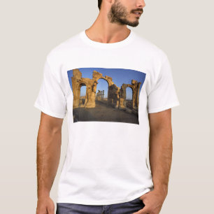 Camiseta Arco monumental, Palmira, Homs, Siria