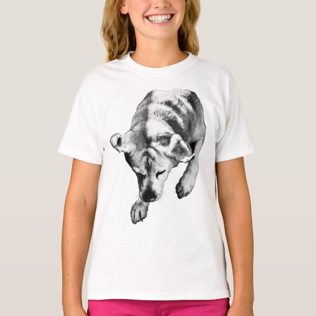 Camiseta Arco tranquilo - Labrador de cabeza (Anverso)