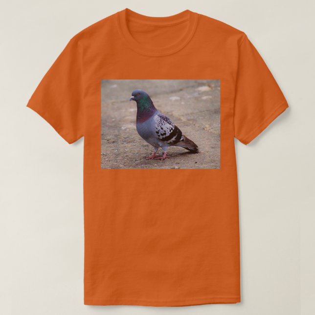 Camiseta Arcoiris 1 (Diseño del anverso)