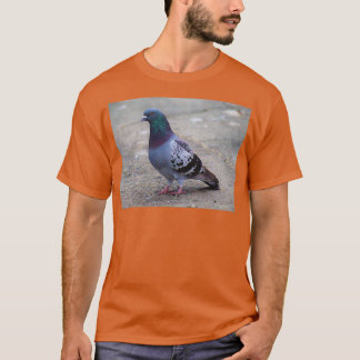 Camiseta Arcoiris 1