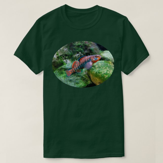 Camiseta Arcoiris Darter (Diseño del anverso)