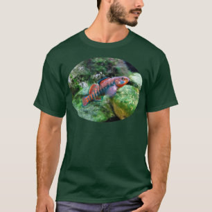 Camiseta Arcoiris Darter