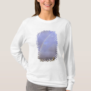 Camiseta Arcoíris sobre Honolulu, Hawái, EE. UU.