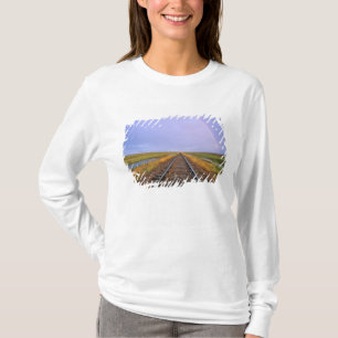 Camiseta Arcoíris sobre vías de ferrocarril cerca de Fairfi