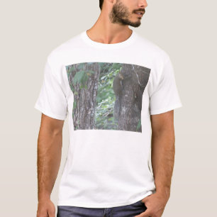 Camiseta Ardilla