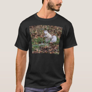 Camiseta Ardilla blanca de Brevard