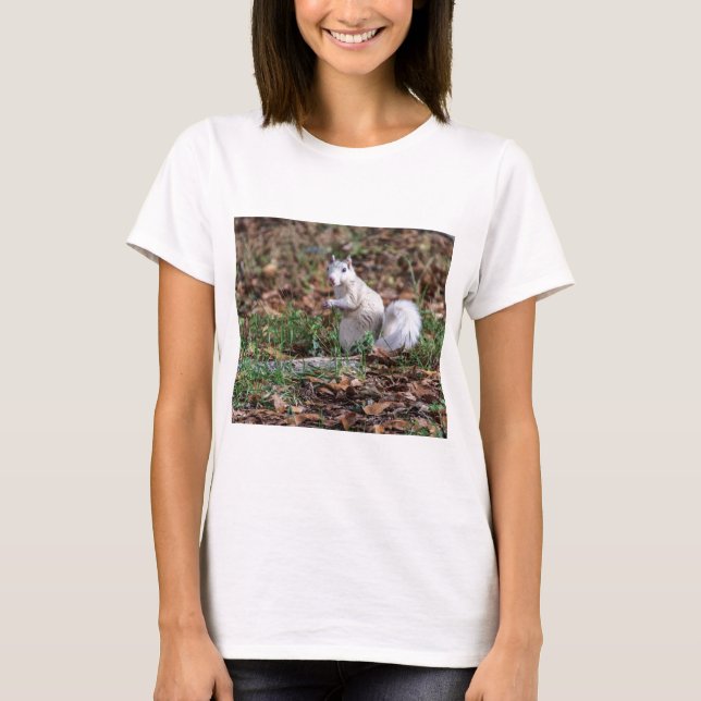 Camiseta Ardilla blanca de Brevard (Anverso)