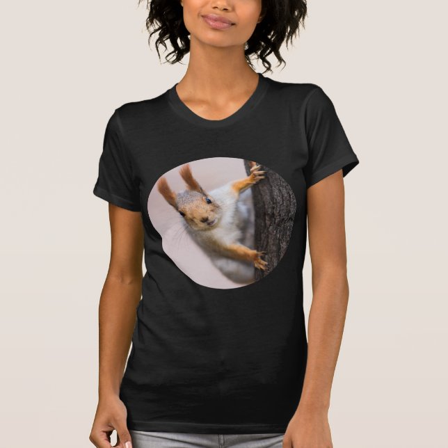 Camiseta Ardilla curiosa (Anverso)
