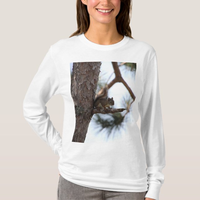 Camiseta Ardilla en un árbol de pino (Anverso)