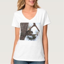 Camiseta Ardilla en un árbol de pino