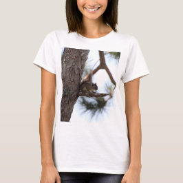 Camiseta Ardilla en un árbol de pino