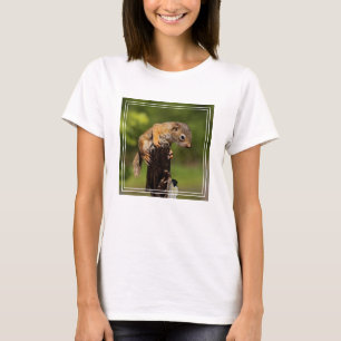 Camiseta Ardilla roja bebé