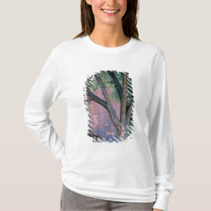 Camiseta Área Recreativa Nacional Glen Canyon, Utah. EE. UU