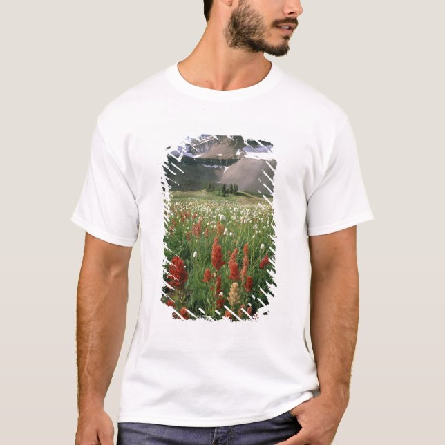CAMISETA ÁREA VIRGEN DE MOUNT TIMPANOGOS, UT, EE. UU., (Anverso)