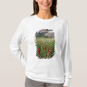 CAMISETA ÁREA VIRGEN MONTE TIMPANOGOS, UT, EE. UU.,