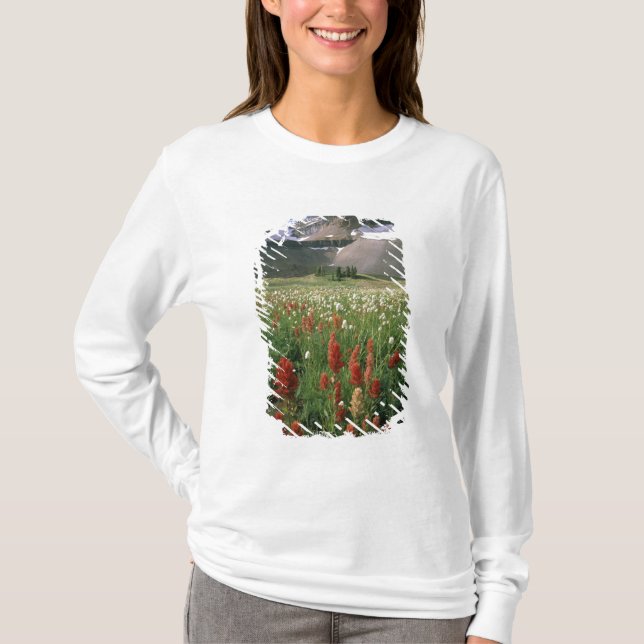 CAMISETA ÁREA VIRGEN MONTE TIMPANOGOS, UT, EE. UU., (Anverso)