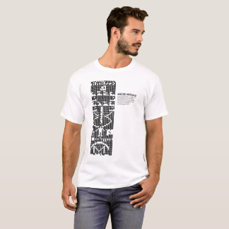 Camiseta Arecibo message: space: science