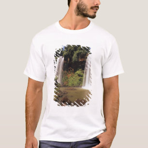 Camiseta Argentina, Igwazu, cataratas del Igwazu. Salto Dos