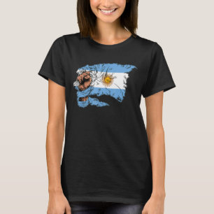 Camiseta Argentina: La bandera argentina