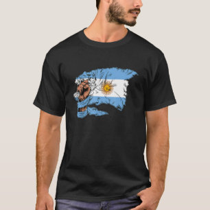Camiseta Argentina: La bandera argentina