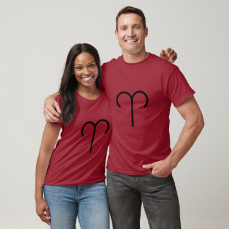Camiseta Aries 