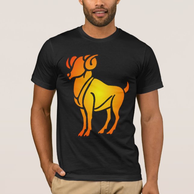 Camiseta Aries Shirt (Anverso)