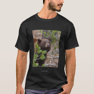 Camiseta Aristóteles