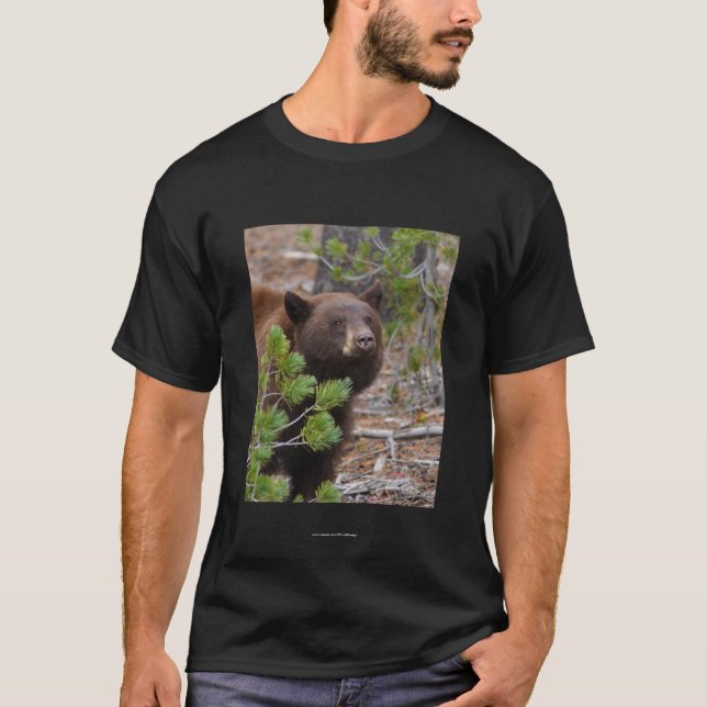 Camiseta Aristóteles (Anverso)