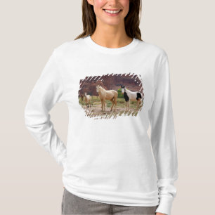 Camiseta Arizona, Reserva de indios navajos, Chinle,
