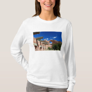 Camiseta Arizona, Window Rock. Capital de los navajos
