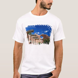 Camiseta Arizona, Window Rock. Capital de los navajos