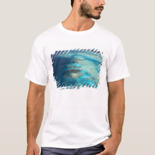 Camiseta Arlington Reef, Parque Marino Gran Barrera de Cora