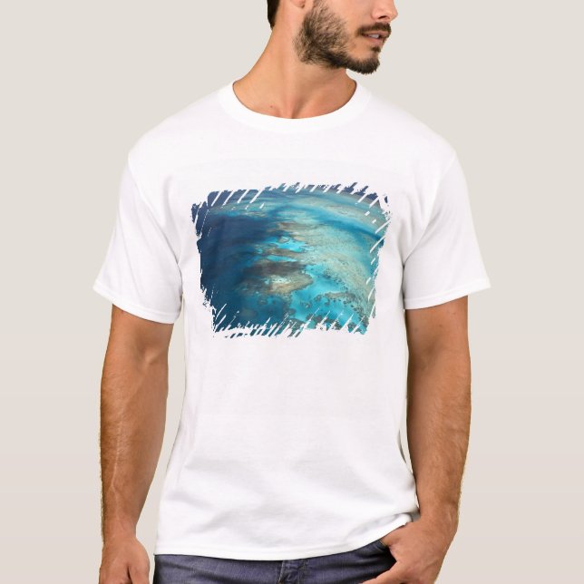 Camiseta Arlington Reef, Parque Marino Gran Barrera de Cora (Anverso)