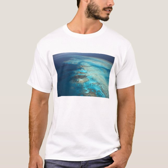 Camiseta Arlington Reef, Parque Marino Gran Barrera de Cora (Anverso)