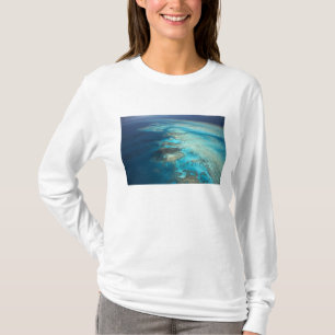 Camiseta Arlington Reef, Parque Marino Gran Barrera de Cora