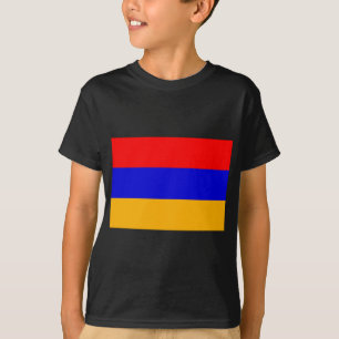 Camiseta Armenia