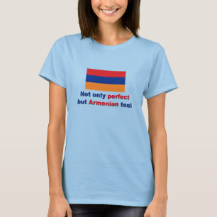 Camiseta Armenio perfecto