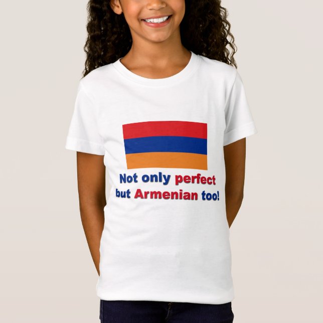 Camiseta Armenio perfecto (Anverso)
