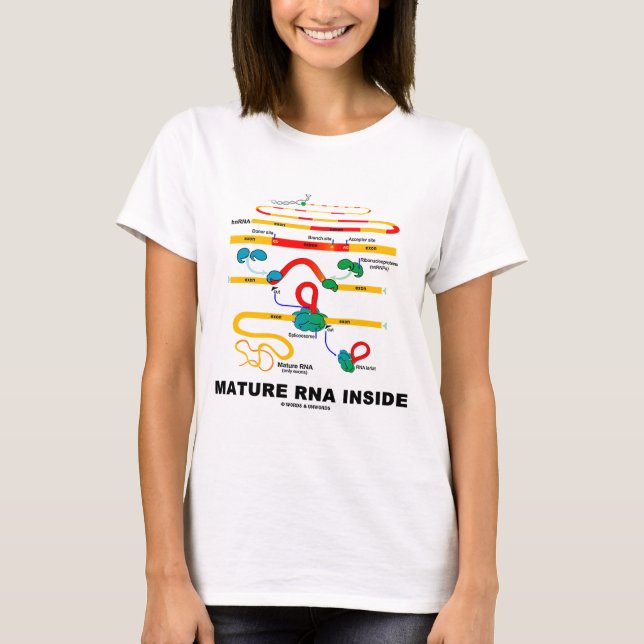 Camiseta ARN en miniatura dentro (Anverso)