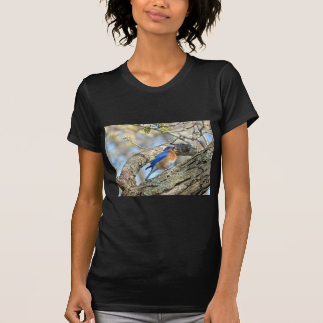 Camiseta Aroma (Anverso)