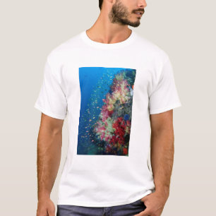 Camiseta Arrecife de coral submarino, Indonesia