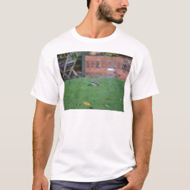 Camiseta Arrendajo euroasiático