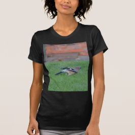 Camiseta Arrendajo euroasiático