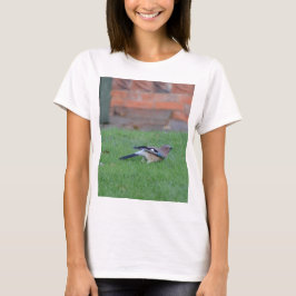 Camiseta Arrendajo europeo