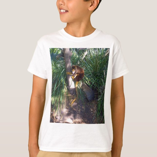 Camiseta "Arriba en árboles: Un canguro de árbol australian (Anverso)