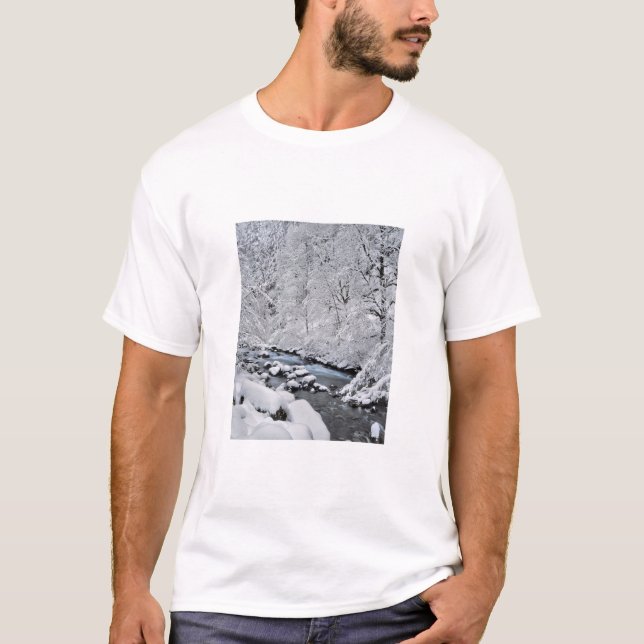 Camiseta Arroyo blanco nevado escénico, Oregon (Anverso)