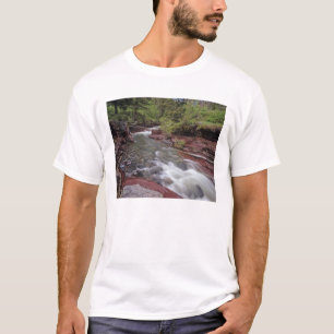 Camiseta Arroyo Lost Horse en el Parque Nacional Waterton L