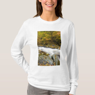 Camiseta Arroyo Rugiente en otoño en el Verde de Vermont